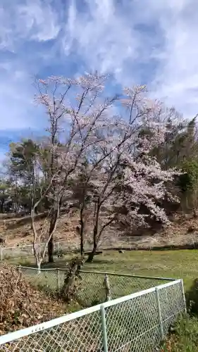 富雄丸山古墳の{uncategorized: "未分類", other: "その他", undefined: "問題あり", building: "その他建物", grave: "お墓", sacred_gate: "鳥居", guardian: "狛犬", statue: "像", buddha: "仏像", history: "歴史", nature: "自然", garden: "庭園", animal: "動物", pagoda: "塔", temizu: "手水舎", mountain_gate: "山門・神門", sanctuary: "本殿・本堂", subordinate: "末社・摂社", art: "芸術", scenery: "景色", jizo: "地蔵", ema: "絵馬", goshuin: "御朱印", omikuji: "おみくじ", items: "授与品その他", amulet: "お守り", goshuincho: "御朱印帳", eats: "食事", festival: "お祭り", votive_dance: "神楽", shichigosan: "七五三参", wedding: "結婚式", experience: "体験その他", initially: "初詣", around: "周辺", anti_infection: "感染症対策"}
