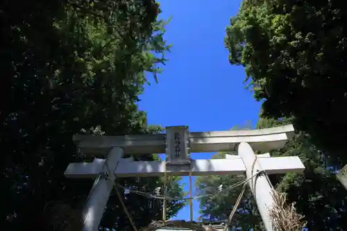 熊野福藏神社の鳥居