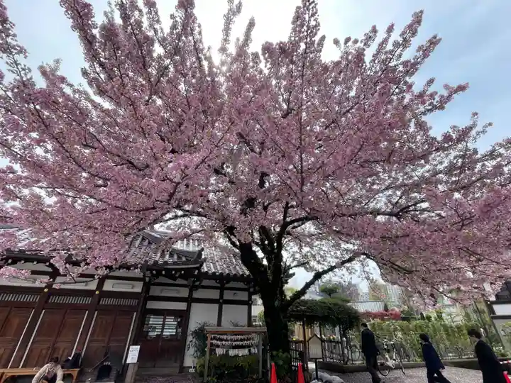 感通寺(東京都)