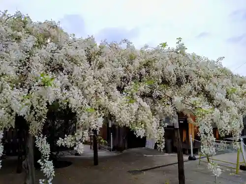 松應寺(愛知県)