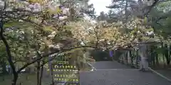 上川神社の自然