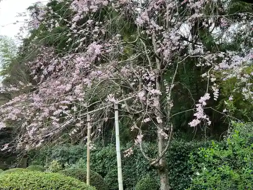 雲龍院(京都府)