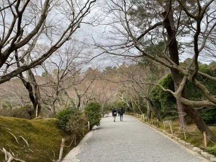 龍安寺(京都府)