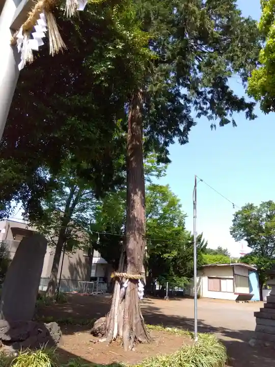 熊野神社(埼玉県)