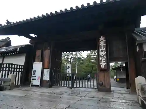 妙心寺（妙心禅寺）の山門