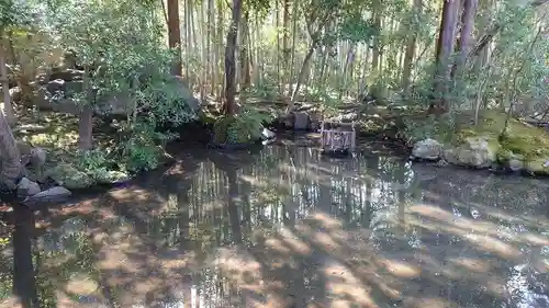 天授庵の庭園