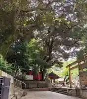 乃木神社のその他建物