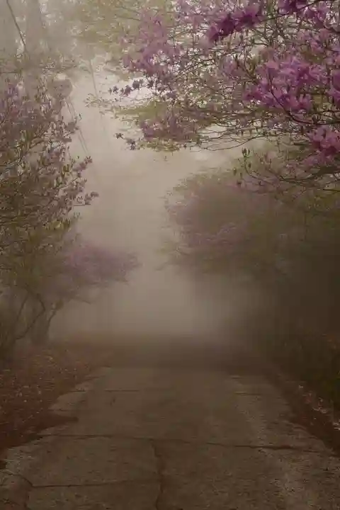 三峯神社(埼玉県)