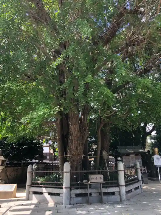 二日市八幡宮(福岡県)