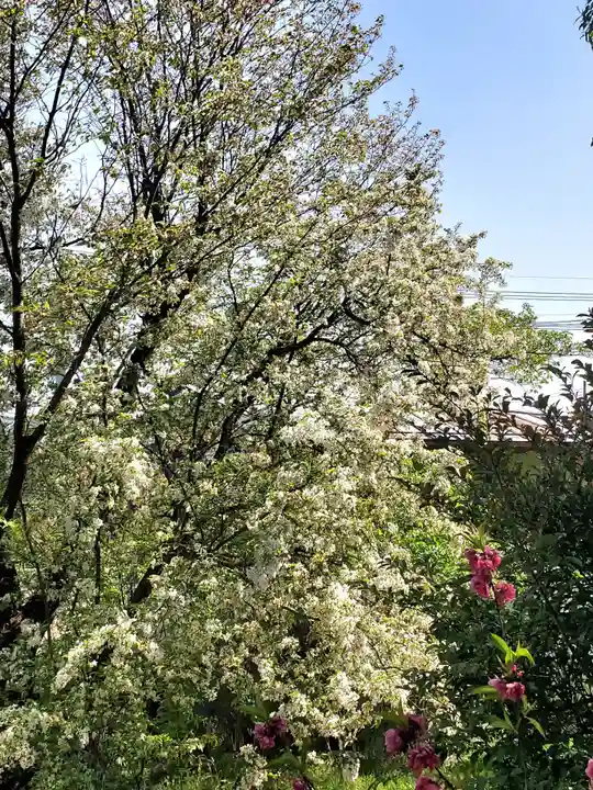 隠津島神社(福島県)