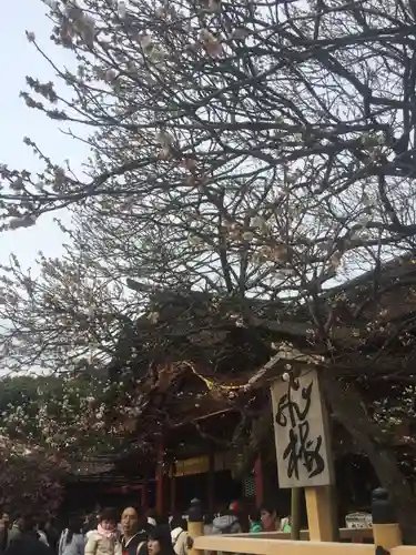 太宰府天満宮の自然