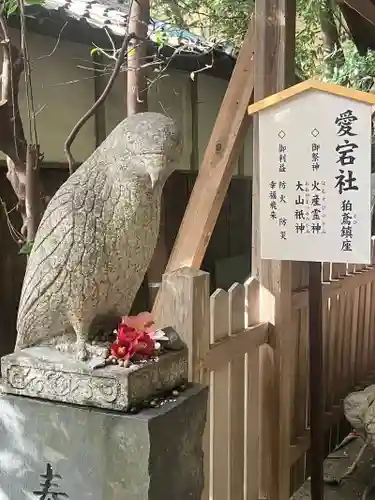 大豊神社(京都府)