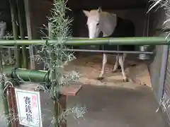 大和国鹿島香取本宮(奈良県)