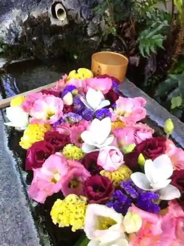 本郷氷川神社(東京都)