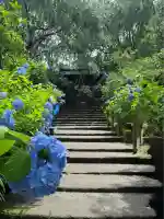 明月院(神奈川県)