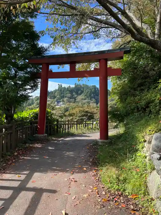 武蔵御嶽神社の鳥居