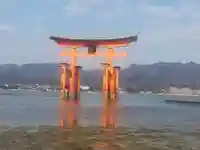 厳島神社の鳥居