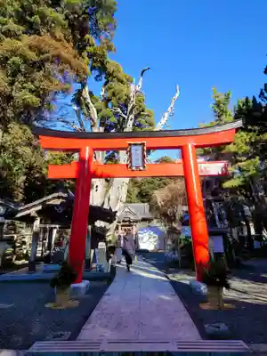 伊古奈比咩命神社(静岡県)