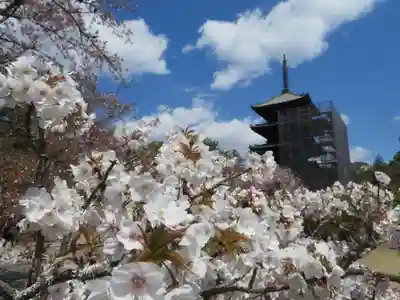 仁和寺(京都府)