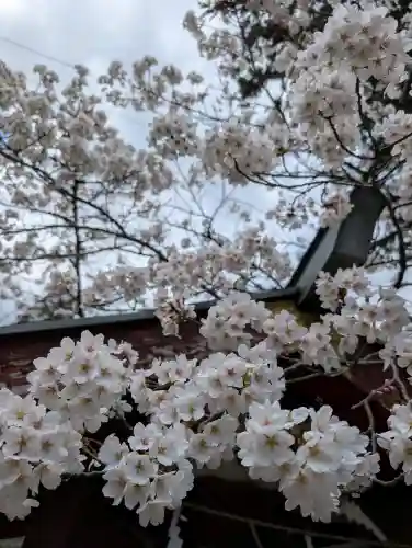 正一位 若草稲荷神社の{uncategorized: "未分類", other: "その他", undefined: "問題あり", building: "その他建物", grave: "お墓", sacred_gate: "鳥居", guardian: "狛犬", statue: "像", buddha: "仏像", history: "歴史", nature: "自然", garden: "庭園", animal: "動物", pagoda: "塔", temizu: "手水舎", mountain_gate: "山門・神門", sanctuary: "本殿・本堂", subordinate: "末社・摂社", art: "芸術", scenery: "景色", jizo: "地蔵", ema: "絵馬", goshuin: "御朱印", omikuji: "おみくじ", items: "授与品その他", amulet: "お守り", goshuincho: "御朱印帳", eats: "食事", festival: "お祭り", votive_dance: "神楽", shichigosan: "七五三参", wedding: "結婚式", experience: "体験その他", initially: "初詣", around: "周辺", anti_infection: "感染症対策"}
