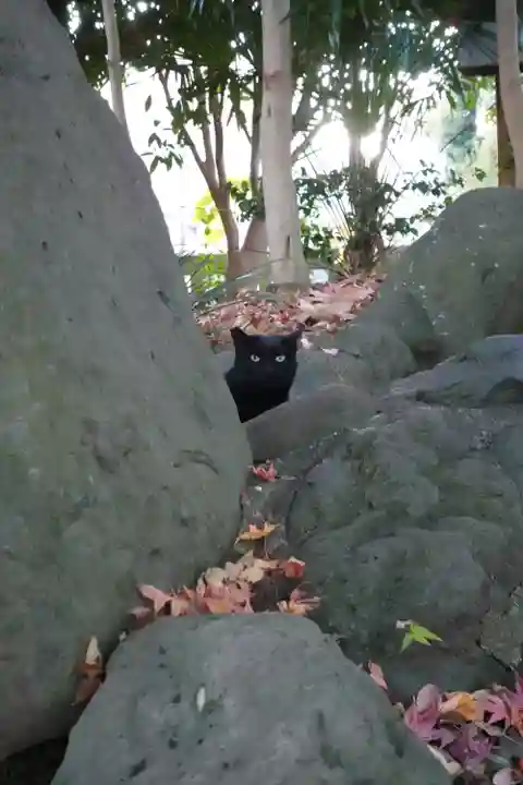 三嶋大社(静岡県)