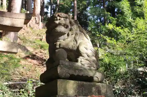 高野根神社の狛犬