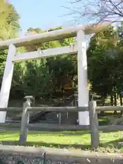 篠畑神社の鳥居