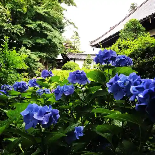 長谷寺(長野県)