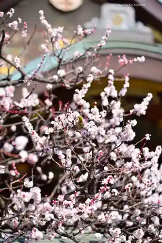 湯島天満宮(東京都)