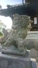 時島神社の狛犬