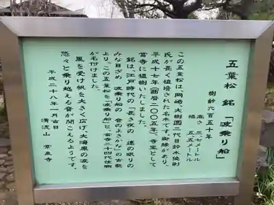 常泉寺(神奈川県)