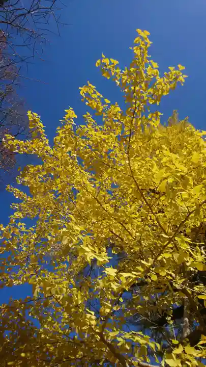 葛城一言主神社(奈良県)