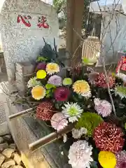 麻賀多神社の手水