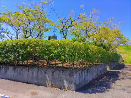 利水神社の自然