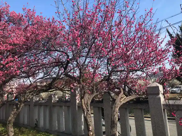 御厨神社の自然