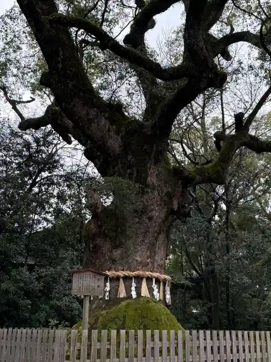 熱田神宮(愛知県)