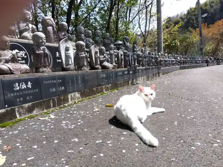 御誕生寺(猫寺)(福井県)