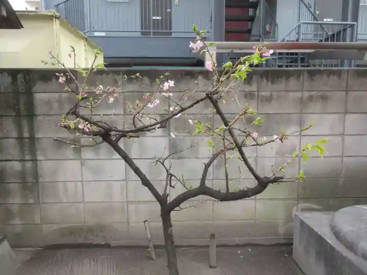 木場 洲﨑神社(東京都)