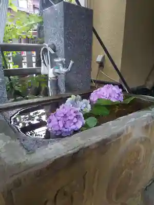 菊名神社の手水舎