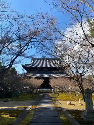 興聖寺の本殿・本堂