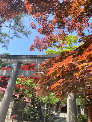 彌彦神社　(伊夜日子神社)の鳥居