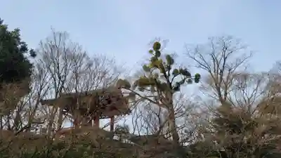 平等院(京都府)