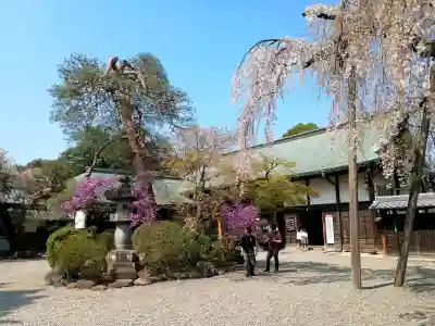 喜多院の{uncategorized: "未分類", other: "その他", undefined: "問題あり", building: "その他建物", grave: "お墓", sacred_gate: "鳥居", guardian: "狛犬", statue: "像", buddha: "仏像", history: "歴史", nature: "自然", garden: "庭園", animal: "動物", pagoda: "塔", temizu: "手水舎", mountain_gate: "山門・神門", sanctuary: "本殿・本堂", subordinate: "末社・摂社", art: "芸術", scenery: "景色", jizo: "地蔵", ema: "絵馬", goshuin: "御朱印", omikuji: "おみくじ", items: "授与品その他", amulet: "お守り", goshuincho: "御朱印帳", eats: "食事", festival: "お祭り", votive_dance: "神楽", shichigosan: "七五三参", wedding: "結婚式", experience: "体験その他", initially: "初詣", around: "周辺", anti_infection: "感染症対策"}
