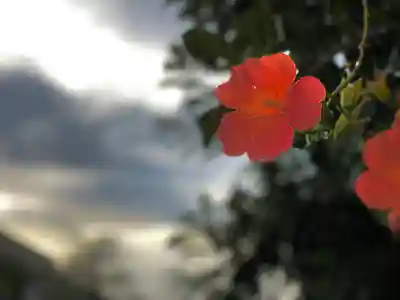 白鳥神社(長野県)
