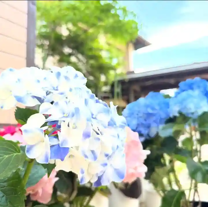 十日恵比須神社(福岡県)