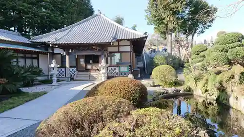 代信寺の庭園