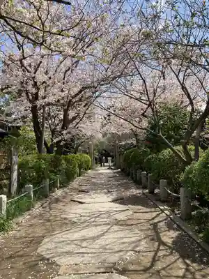 宝戒寺(神奈川県)