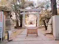 赤坂氷川神社の鳥居