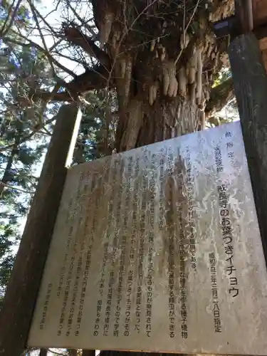 戒場神社のその他建物