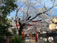 竹中稲荷神社(吉田神社末社)(京都府)